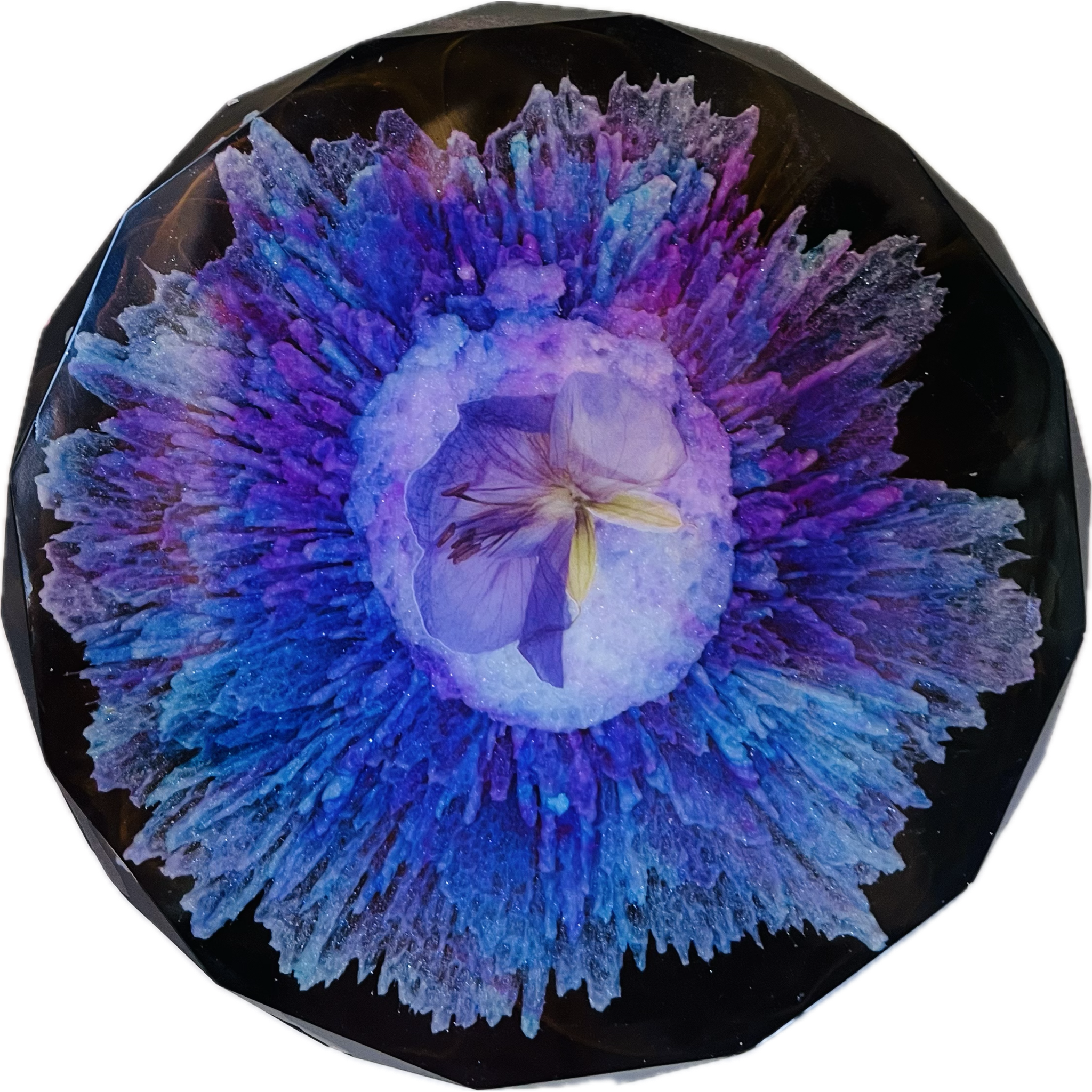 Untitled_Artwork 42